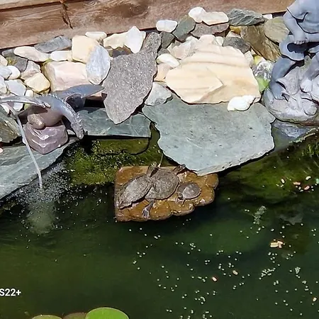 In Feldkirchen Dagmar Und Christian!