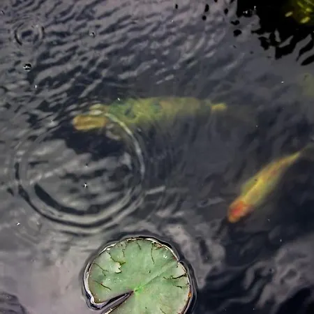 In Feldkirchen Dagmar Und Christian! アパート *